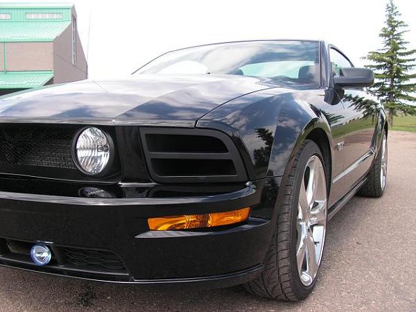 Agent 47 ram air/grill install pics-car-dog-005.jpg