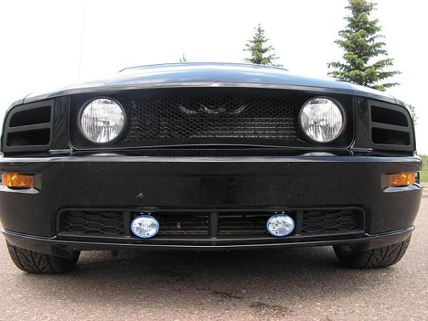 Agent 47 ram air/grill install pics-car-dog-006.jpg