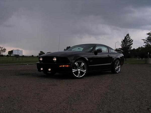 Agent 47 ram air/grill install pics-car-dog-009.jpg