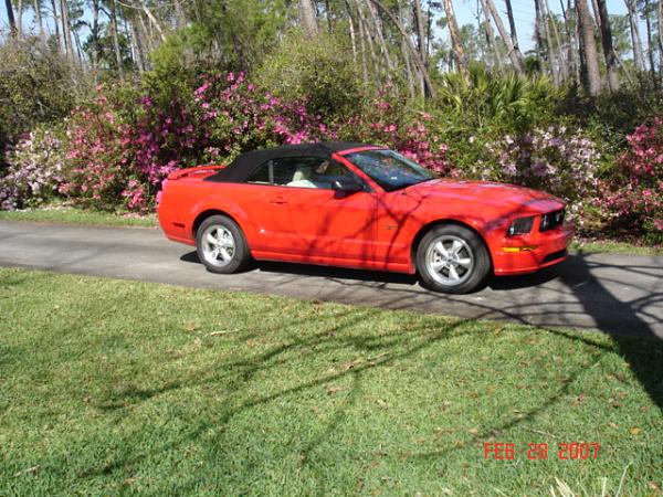 Vert Pics Needed-2007mustang-016.jpg