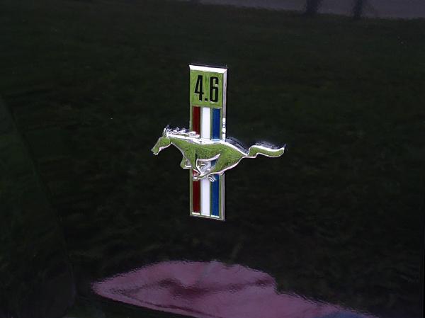 new fender emblem-new-running-pony.jpg