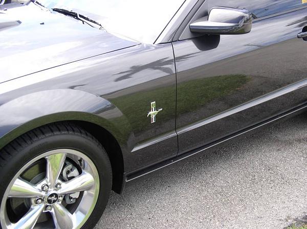 new fender emblem-pony4.jpg