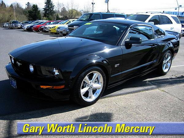 Introduction-mustang.jpg