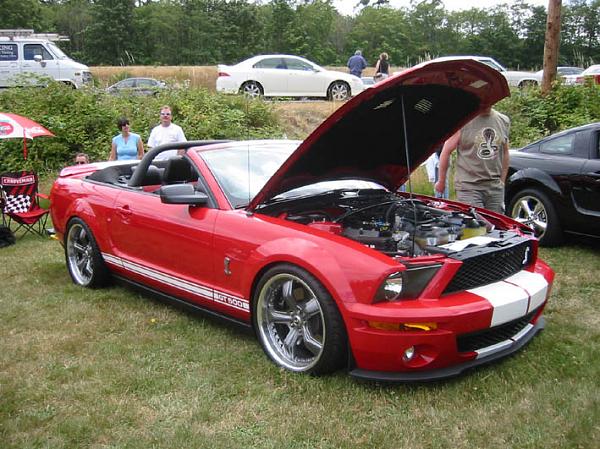 Took another 1st place...-resize1.jpg