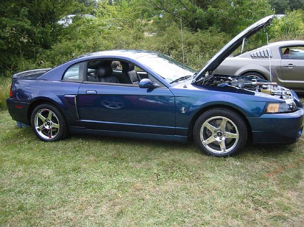 Took another 1st place...-resize6.jpg