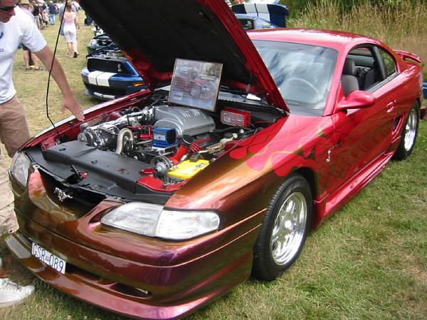 Took another 1st place...-resize7.jpg