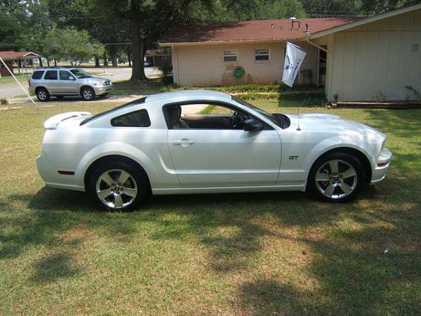 New members stang pics...-175-shrink.jpg