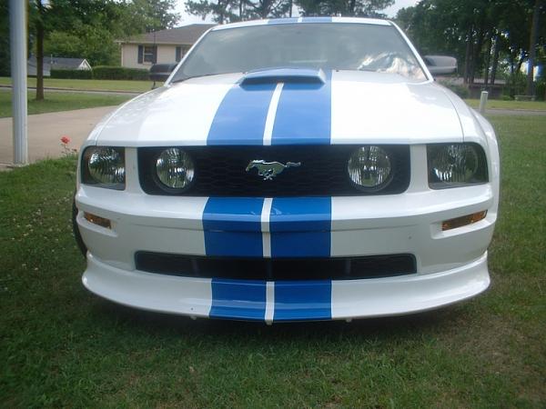 My Mustang GT-phplyqwbzpm.jpg