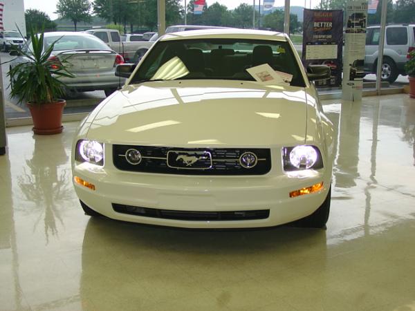 Here's pics of 2008 Mustang Sally with HID Headlights &amp;Candy Apple Red GT-dsc07247.jpg