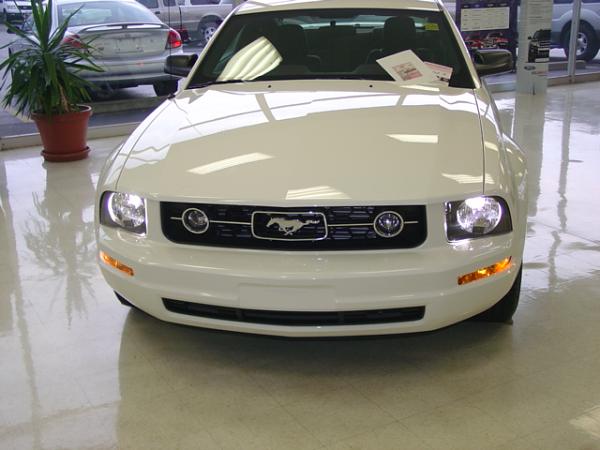 Here's pics of 2008 Mustang Sally with HID Headlights &amp;Candy Apple Red GT-dsc07249.jpg