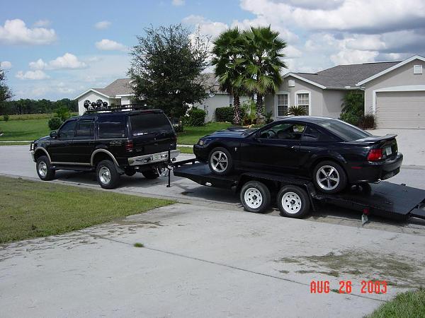 Mustang Trailers!?-33333.jpg