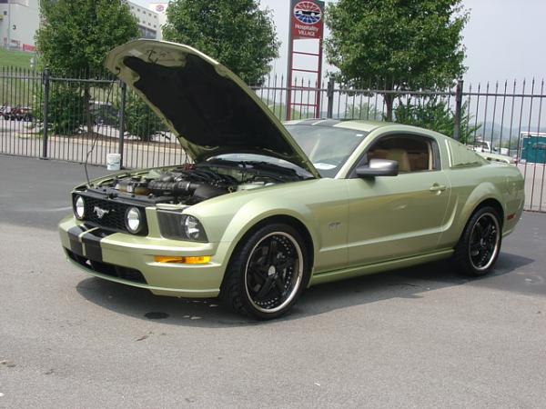 FFW Bristol Dragway?-dsc07535.jpg