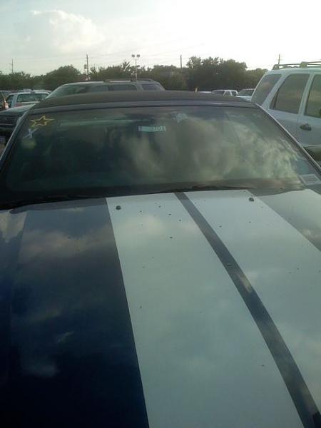 Our 2008 Mustang arrived today!-mustang4.jpg
