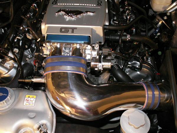 I cleaned my Throttle body-underhood-002.jpg