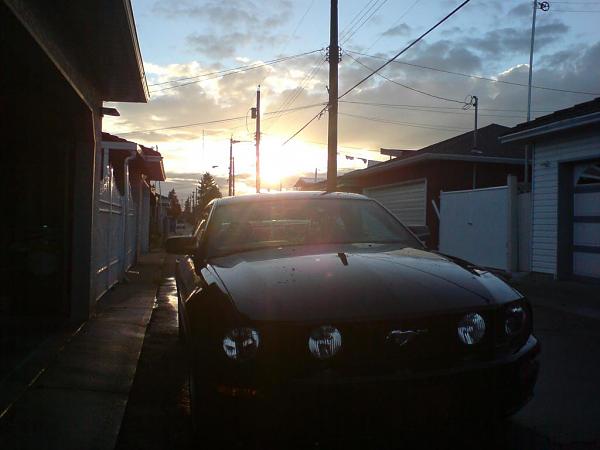 Just a pic I took-stangsunset.jpg