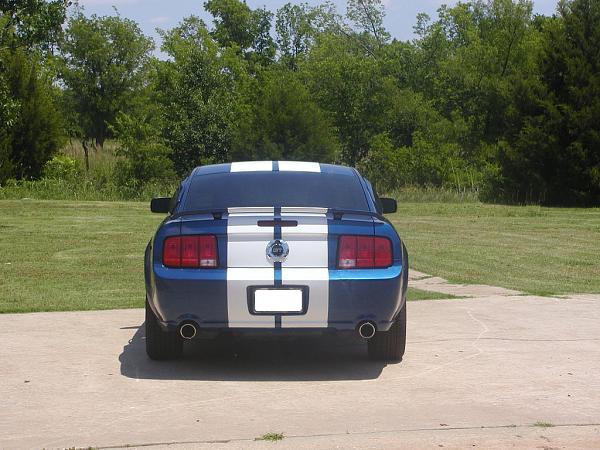 Tinted stangs post them up!-backhalfdone-1.jpg