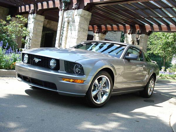 Finally Got My New Mustang (08 Gt Vapor)-dsc01444.jpg