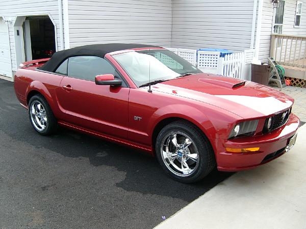 A huge thanks to this forum !-mustang1.jpg
