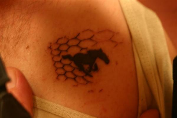 Black pony logo for a tattoo-img_0973-medium-.jpg