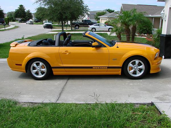 2 different Shelby Light bars?-13.jpg