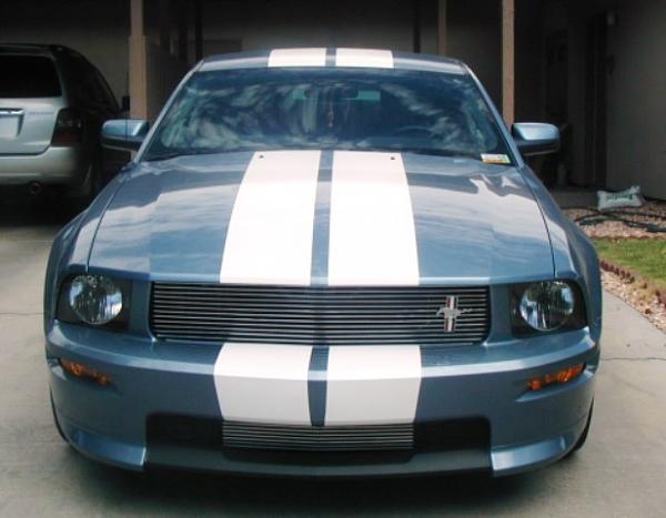 CS shelby GT lower grille from Shelbyautos-wb21.jpg