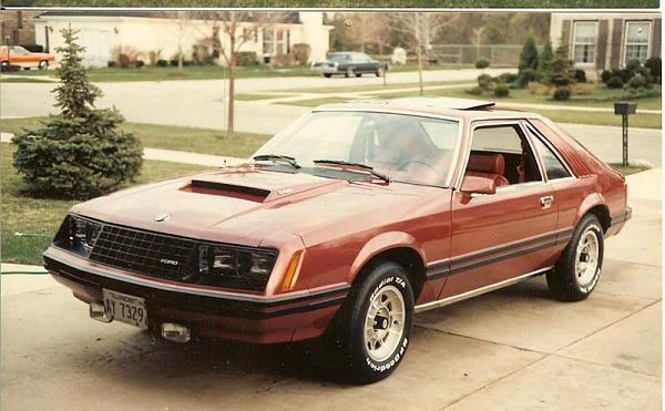 Simple Introduction-79stang02.jpg