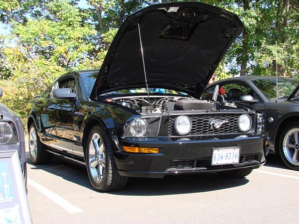 A few pics of my Baby at the N. Virgina Mustang Club show-nvmc-2007-037.jpg