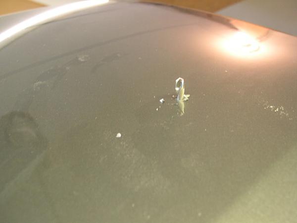 Confused about OEM hood scoop...-hood-pin-2.jpg
