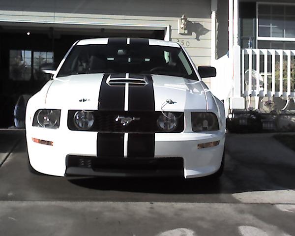 Post **PICS** of Your Mustang in Your Garage-img275.jpg