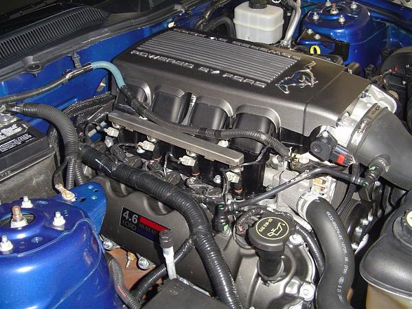 What's it Worth?-dsc03271-large-.jpg