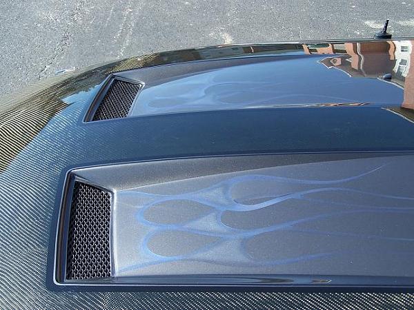 This car looks pretty cool-newhood.jpg