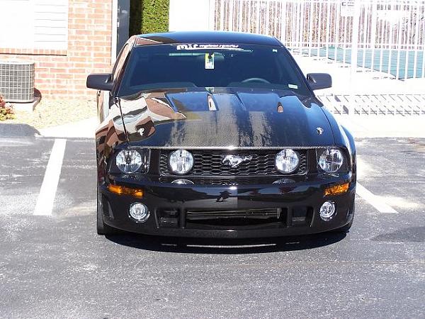 This car looks pretty cool-newhood1.jpg