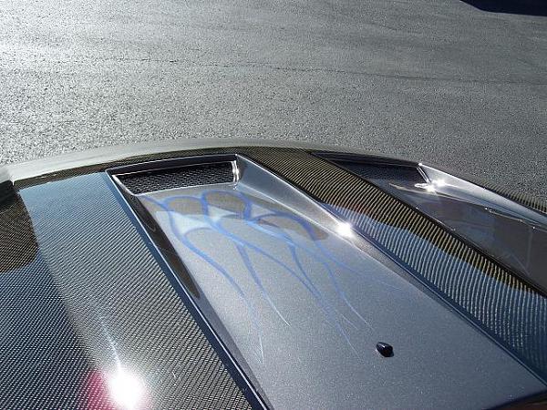 This car looks pretty cool-newhood2.jpg
