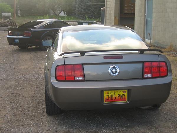 Where has your Mustang been...PIC THREAD-mrt.jpg