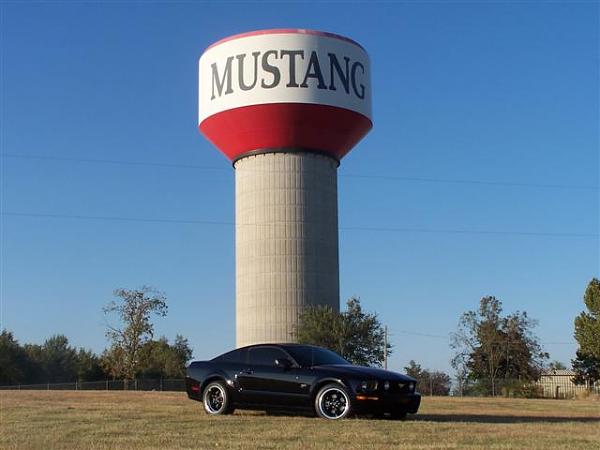 Where has your Mustang been...PIC THREAD-100_3130-small-.jpg