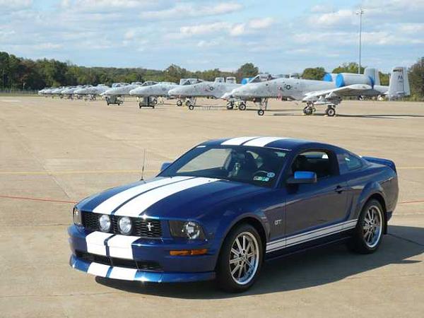 Where has your Mustang been...PIC THREAD-gt3.jpg