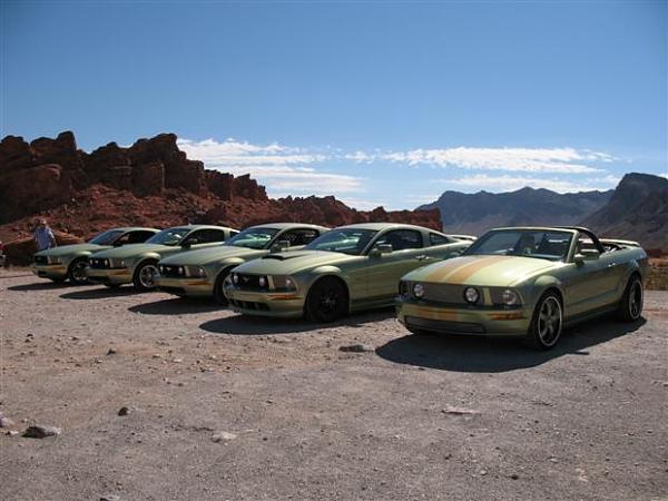 Where has your Mustang been...PIC THREAD-img_0120-custom-.jpg