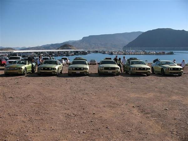 Where has your Mustang been...PIC THREAD-img_0145-custom-.jpg