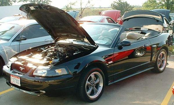 Age range for 05+ Stang owners-03-mustang-vert-summit-show.jpg