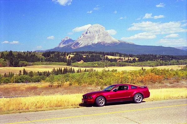 Where has your Mustang been...PIC THREAD-alberta-crowsnest.jpg