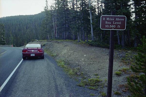 Where has your Mustang been...PIC THREAD-rmnp.jpg