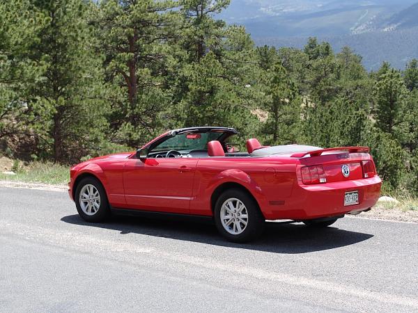 Where has your Mustang been...PIC THREAD-pimpin4.jpg