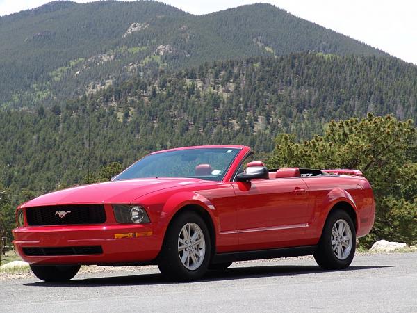 Where has your Mustang been...PIC THREAD-pimpin3.jpg