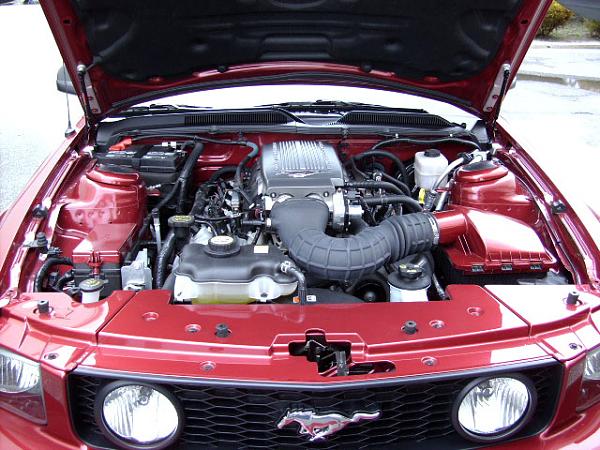 Engine Accent Upgrade-engine-bay-1.jpg