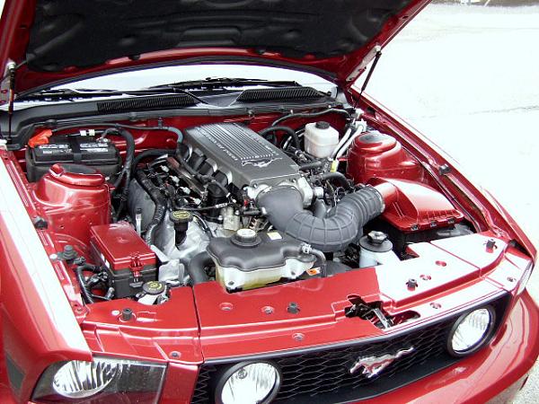 Engine Accent Upgrade-engine-bay-2.jpg