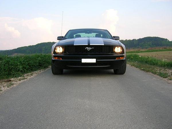 Post Your V6 Mustangs-dscn0547-web.jpg