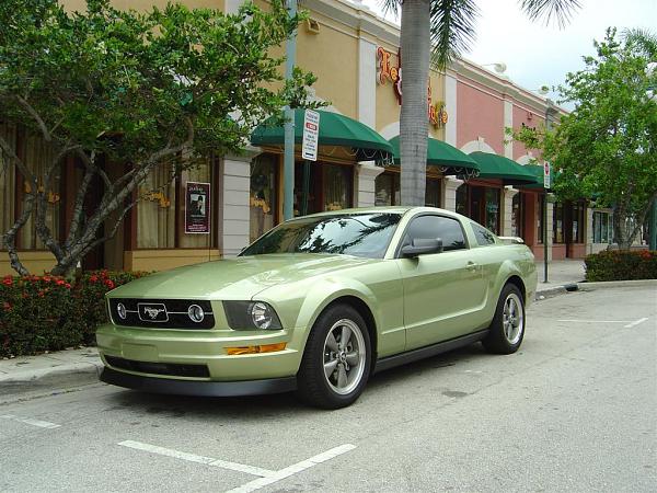 Post Your V6 Mustangs-dsc05385-large-.jpg