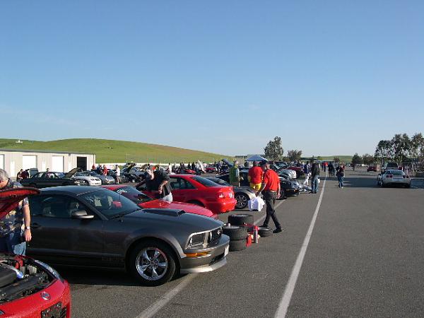 Where has your Mustang been...PIC THREAD-picture-145.jpg