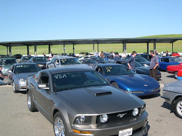 Where has your Mustang been...PIC THREAD-picture-142.jpg