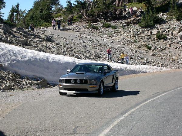Where has your Mustang been...PIC THREAD-picture-014.jpg